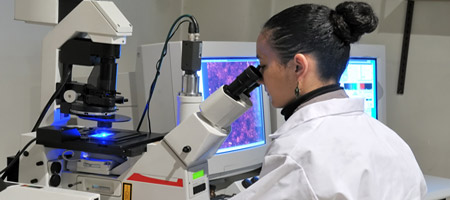 LABORATORI ANALISI
