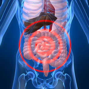 foto microbiota intestinale