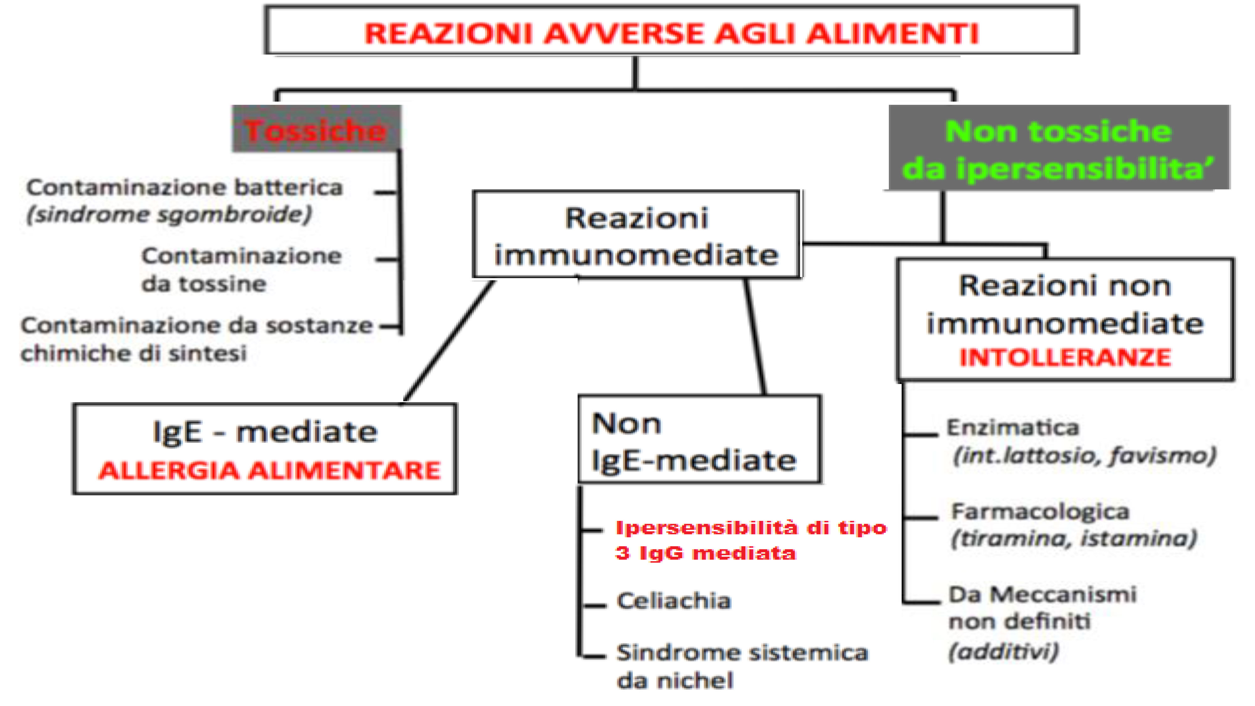 grafico classificazione intolleranze alimentari