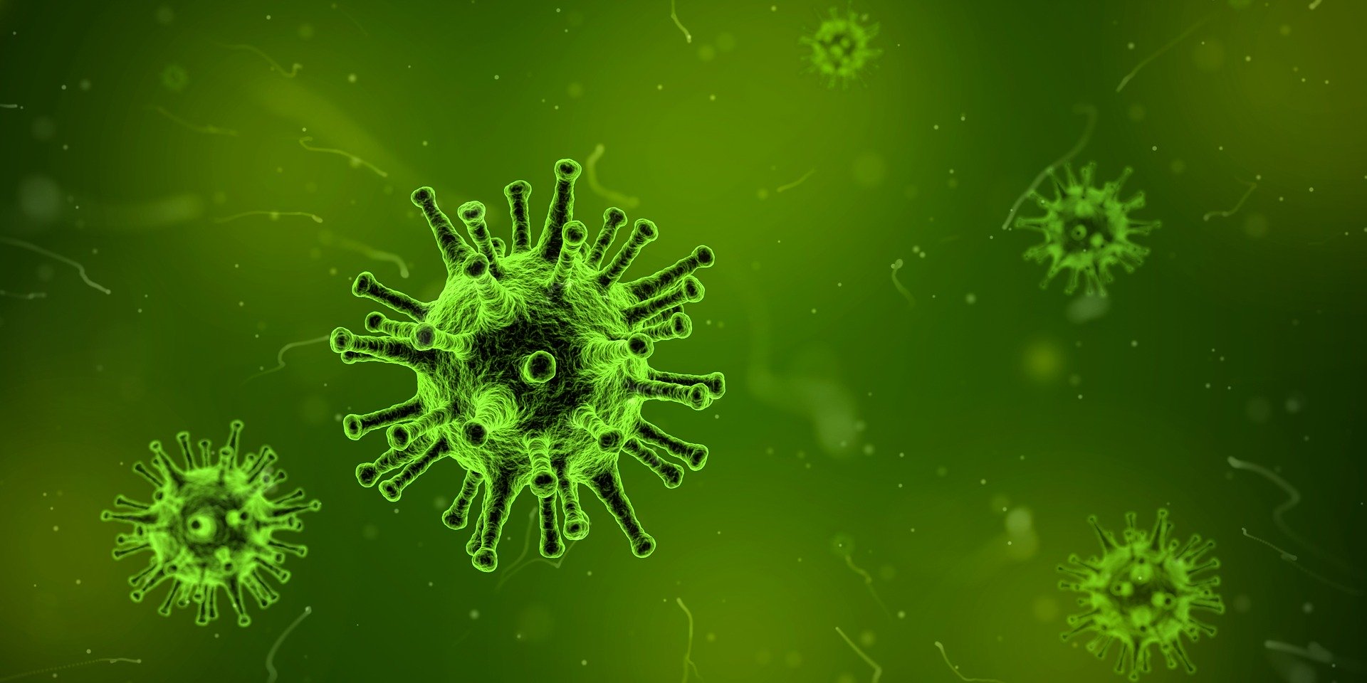 virus influenzali visti al microscopio