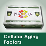 kit test cellular aging factors