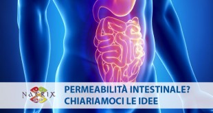 immagine intestino permeabilità intestinale