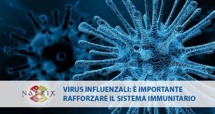 immagine microscopio virus influenzali