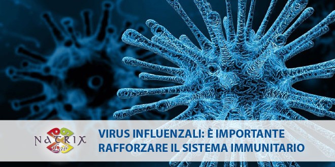 immagine microscopio virus influenzali