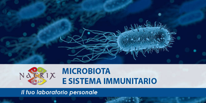immagine batteri microbiota per il sistema immunitario