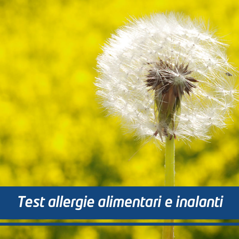 immagine allergie inalanti