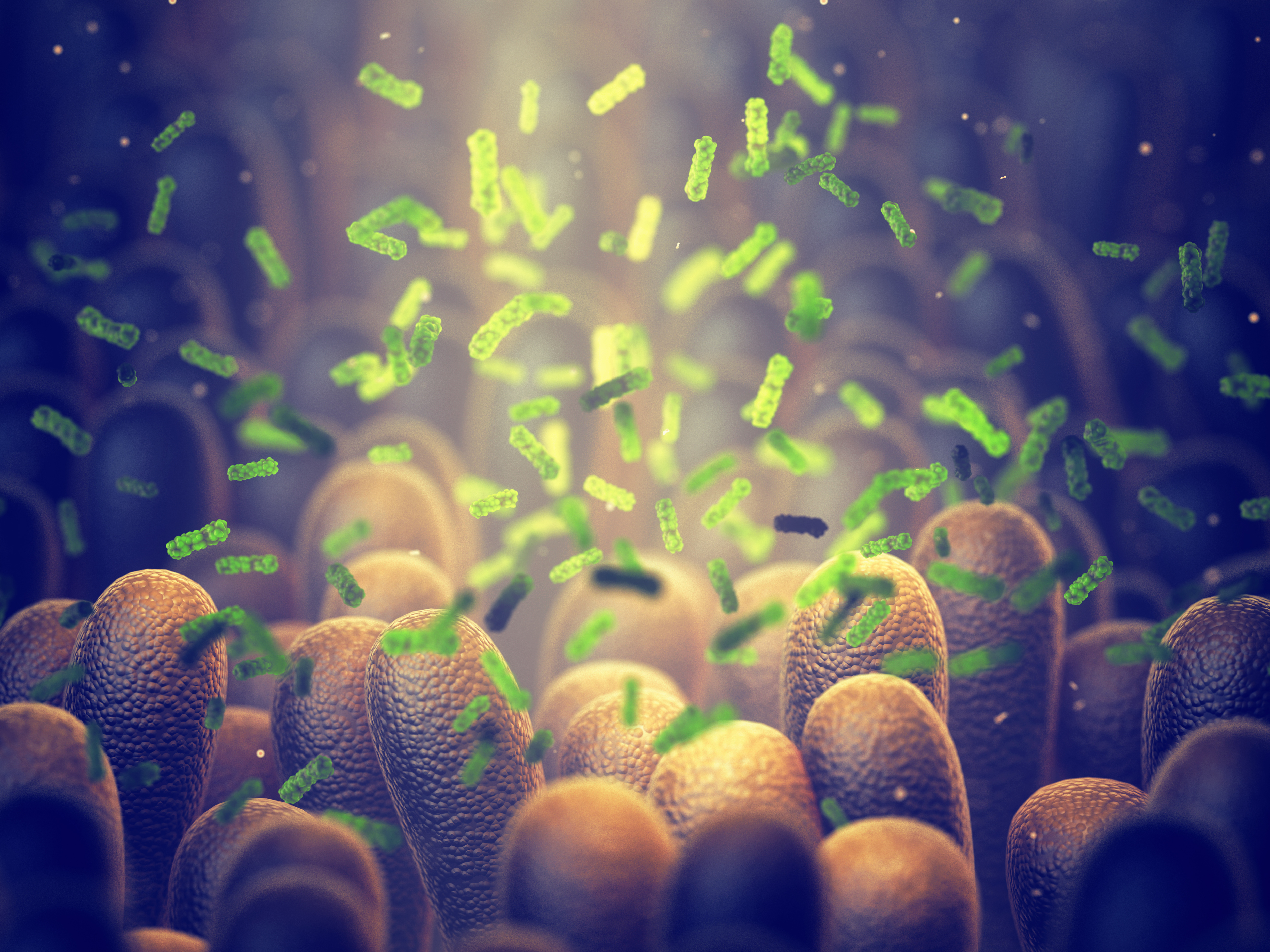 batteri microbiota alimenti sani