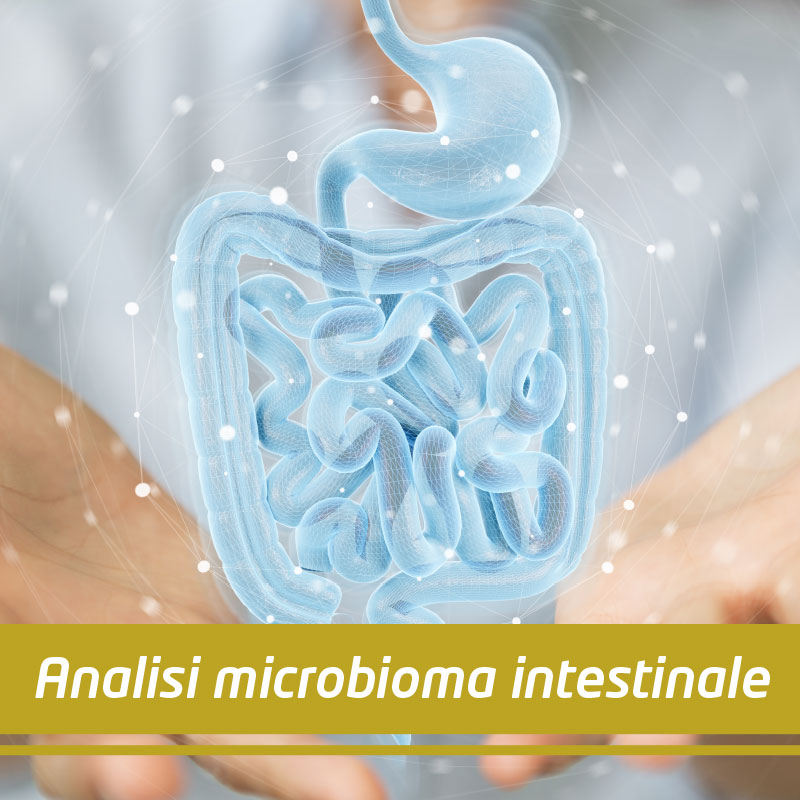 immagine analisi genetica microbioma