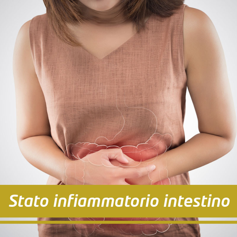 immagine intestino infiammato