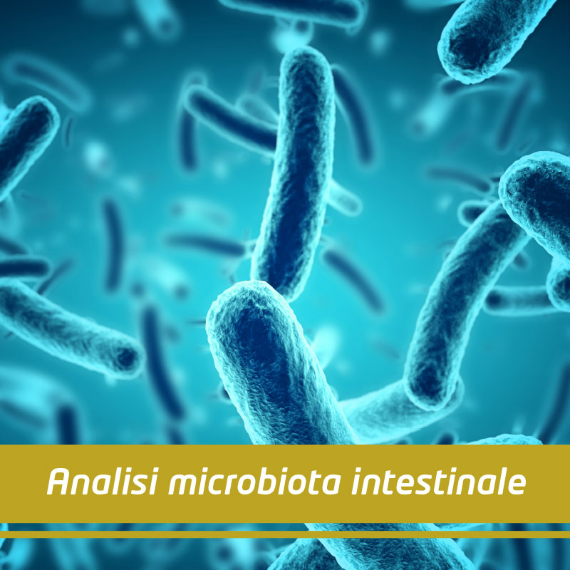 immagine batteri microbiota