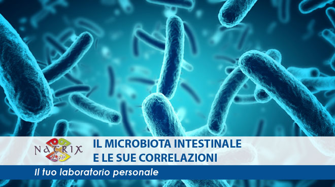 foto batteri del microbiota intestinale