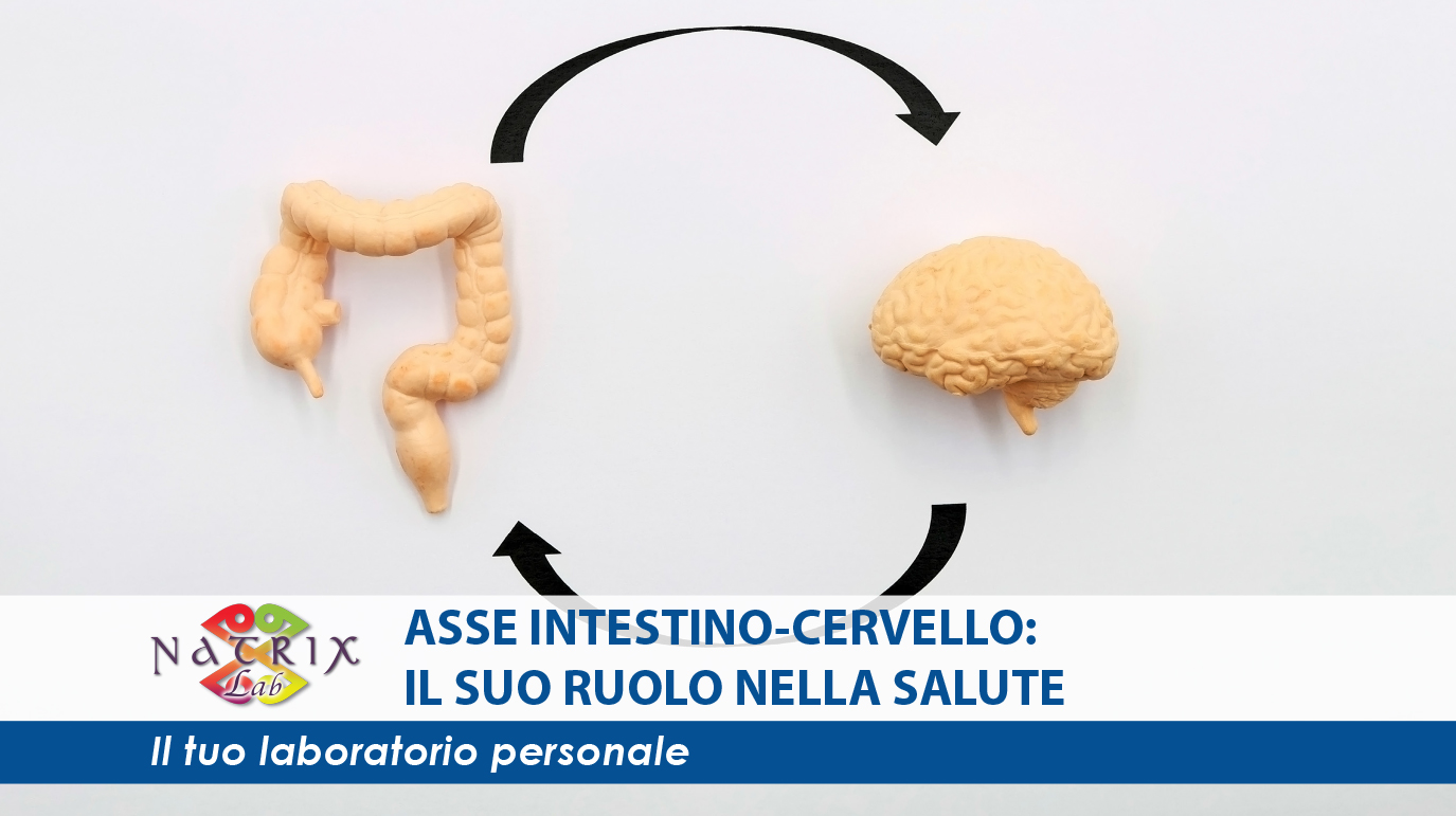 rappresentazione dell'asse intestino cervello